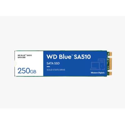 WD Blue 500GB SA510 Sata3 M.2